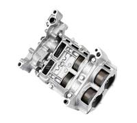 Pompa olio 1x 15100-RAA-A02 compatibile con Accord 03-07 TSX 04-08