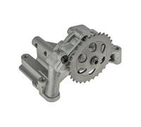 NTY Pompa olio compatibile con AUDI FORD SEAT SKODA VW VAG FORD MOTOR COMPANY