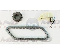 Pompa Olio Catena Kit Per VW Audi Seat Skoda 1.4 TSI Caxa Cavd Petrol Motore 06>