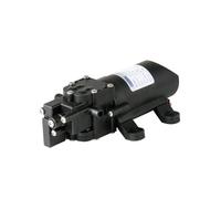 Pompa Per Acqua Fresca Shurflo Di Pentair SLV - 12 VDC 1,0 GPM