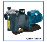 pompa per piscina elettropompa autoadescante elettrica acqua fuoriterra 0,75HP