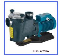 pompa per piscina elettropompa autoadescante elettrica acqua fuoriterra 1HP