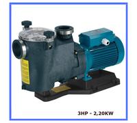 pompa per piscina elettropompa autoadescante elettrica acqua fuoriterra 3HP