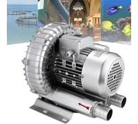 Pompa per vuoto industriale e ventilatore ad aria, monofase ad alta pressione per scarico officina, soffiaggio o aspirazione, potenza 750 W