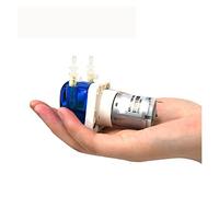 Pompa peristaltica 12v Piccola pompa Pompa autoadescante Piccola pompa Mini micro pompa dell'acqua da laboratorio,Alte prestazioni(100-hd3 24v)