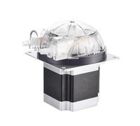 Pompa peristaltica 1pc 24V 600mLPM Motore passo-passo BPT Tubo Pompa acqua for liquidi