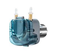 Pompa peristaltica for alimentazione nasale, bevande ad alta viscosità e macchine da caffè - Motore elettrico a corrente continua(BP300-DNUN32A)