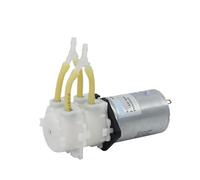 Pompa peristaltica KPP2 24V 12V pompa autoadescante a portata ridotta pompa a doppia testa pompa dosatrice a bassa pressione(24V In Series,KPP2-B06)