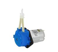 Pompa peristaltica micro Kamoer NKP da 5 pezzi, motore CC 6 V/12 V/24 V, pompa dosatrice a basso flusso con tubo blu/BPT(B06,24V Straight)