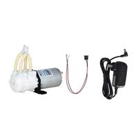 Pompa peristaltica motore a spazzole pompa acqua con linea e alimentazione KPHM200/400/600 KPP2 KPP(12v,UK_KPP2 B10L SET)