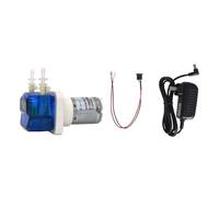 Pompa peristaltica motore a spazzole pompa acqua con linea e alimentazione KPHM200/400/600 KPP2 KPP(12v,AU_KPHM100 B10 SET)