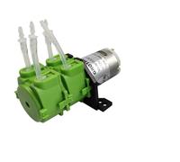 Pompa peristaltica pompa dosatrice pompa a doppio canale 12V/24V pompa acqua silenziosa pompa autoadescante pompa a tubo flessibile a doppio canale(With 1x3,12V)