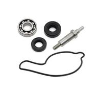 Pompa Raffreddamento Motore Per CRF450R CRF450 R CRF 450 2002-2008 Complementi Hot Rods Pompa Acqua Girante Paraolio Cuscinetto Guarnizioni Kit