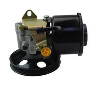Pompa servo idraulica Per Nissan Per Urvan E25 KA24 49110-VW000 49110VW000 Pompa Servosterzo