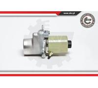 Pompa servosterzo 10SKV135 ESEN SKV per FORD FOCUS II Turnier FOCUS C-MAX C-MAX