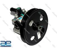 Pompa Servosterzo 1102DA3133N Compatibile Con Mahindra Scorpio 2.0 2.2