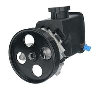 Pompa Servosterzo A0044667001 0044667001 per Mercedes W211 S211 E200 E220 CDI (2003-2008) Parti della Pompa dello sterzo Pompa idraulica del Sistema di sterzo