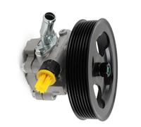 Pompa Servosterzo Auto Con Puleggia Per Per QX56 2004-2011 | Pompa Servosterzo 21-5366 29010260 36P0872 491107S000 Fornisce Una Potenza Idraulica Costante