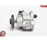 Pompa servosterzo idraulico senza puleggia 10SKV123 ESEN SKV per BMW 3 3 Touring