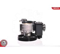 Pompa servosterzo per CITROEN | 10SKV159, 9631411580, HP377, HP525