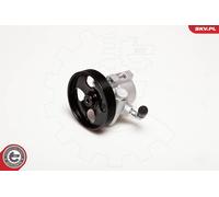 Pompa servosterzo per VW | 10SKV031, 4007.X0