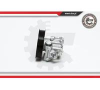 Pompa servosterzo con puleggia 10SKV022 ESEN SKV per AUDI A4 B6 A4 B6 Avant