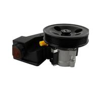 Pompa servosterzo con serbatoio puleggia 20-61607 per 99-04 Compatibile per Jeep Grand Cherokee 4.0L 4.7L Pompa carburante Sistema di alimentazione carburante Parte motore