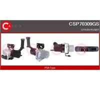 CASCO Pompa Servosterzo Elettrica-Iraulica Per Citroën C4 II B7 DS4