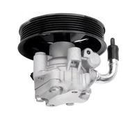 Pompa servosterzo idraulica compatibile con Hyundai Sorento 2.4 571001U000 57100-2P200 57100-1U000 57100-2P210 571002P210 571002P200 Kit pompa sterzo di ricambio