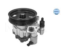 Pompa servosterzo idraulico 014 631 0021 MEYLE