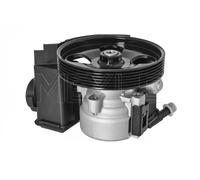 Meyle Pompa idraulica sterzo 11-14 631 0018 per Citroën C4 I / Peugeot 206
