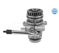 Pompa servosterzo idraulico 114 631 0033 MEYLE per VW MULTIVAN T5 TOUAREG