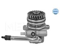 Originale MEYLE Pompa Idraulica Sterzo 114 631 0036 per VW
