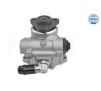 MEYLE Pompa servosterzo idraulica 114 631 0053 per Audi, VW