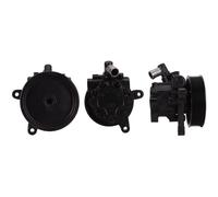 Pompa servosterzo idraulico 15-0480 ELSTOCK per MERCEDES-BENZ CLASSE R L