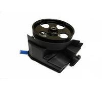 Originale MAXGEAR Pompa Idraulica Sterzo 48-0038 Per Citroën Peugeot