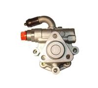 SPIDAN Pompa servosterzo idraulica 53719 per Audi, VW, Skoda