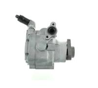 SPIDAN 54776 Pompa idraulica, sterzo