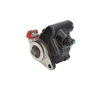 Pompa servosterzo idraulico 55.0461 LAUBER per PEUGEOT CITROËN