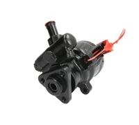 LAUBER 55.0716 Pompa idraulica, sterzo