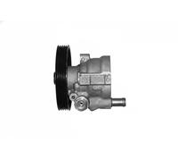 Pompa servosterzo idraulico 7074002 SASIC per RENAULT OPEL