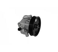 Sasic Pompa servosterzo idraulica 7076075 per Ford e Volvo V50 1.6 2005-2012