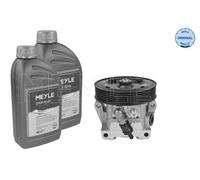 Pompa servosterzo idraulico 714 631 0025/S MEYLE per FORD VOLVO