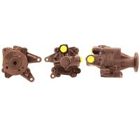 Pompa servosterzo idraulico 715520267 DRI per BMW 5 5 Touring