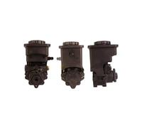 Pompa servosterzo idraulico 715520778 DRI per BMW 5 Touring 5