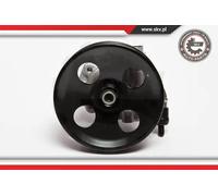 Pompa servosterzo idraulico con puleggia 10SKV006 ESEN SKV per FORD MAZDA