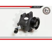 Pompa servosterzo idraulico con puleggia 10SKV035 ESEN SKV per FORD MAZDA