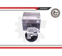 Pompa servosterzo idraulico con puleggia 10SKV038 ESEN SKV per LAND ROVER FORD