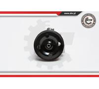 Pompa servosterzo idraulico con puleggia 10SKV091 ESEN SKV per FORD VOLVO