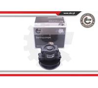 Pompa servosterzo per FORD | 10SKV101, 6C113A696AJ, 1545100100